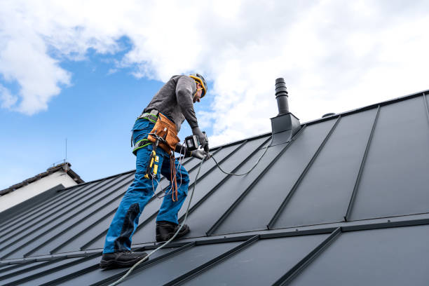 Best Roof Moss and Algae Removal  in Shorewood Tower Hills Harbert, MI